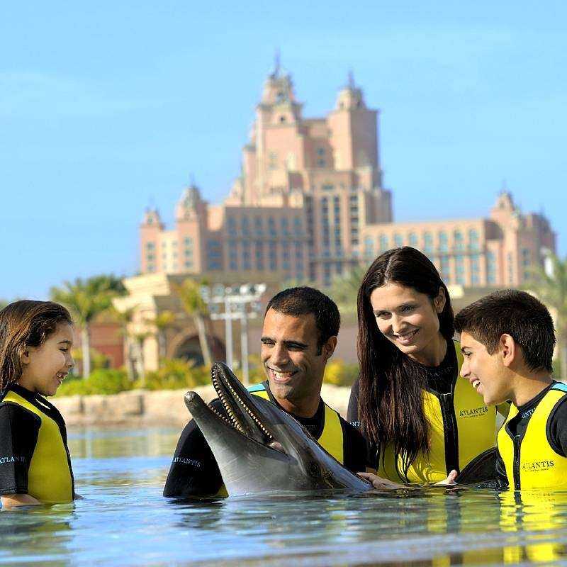 rencontre avec les dauphins dubai