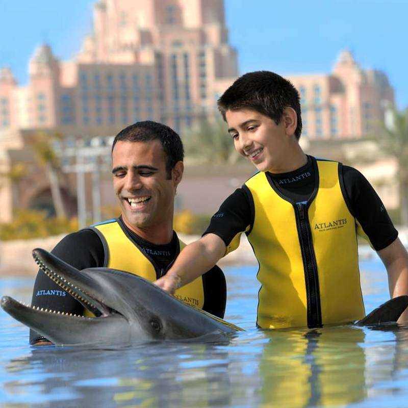 Nage avec les dauphins Dubai Nage avec les dauphins Dubai