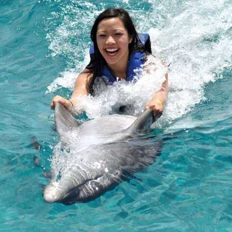 Nage avec les dauphins Dubai