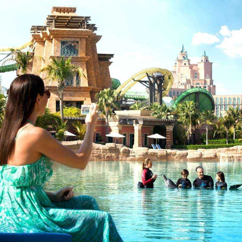 Nage avec les dauphins Dubai Nage avec les dauphins Dubai