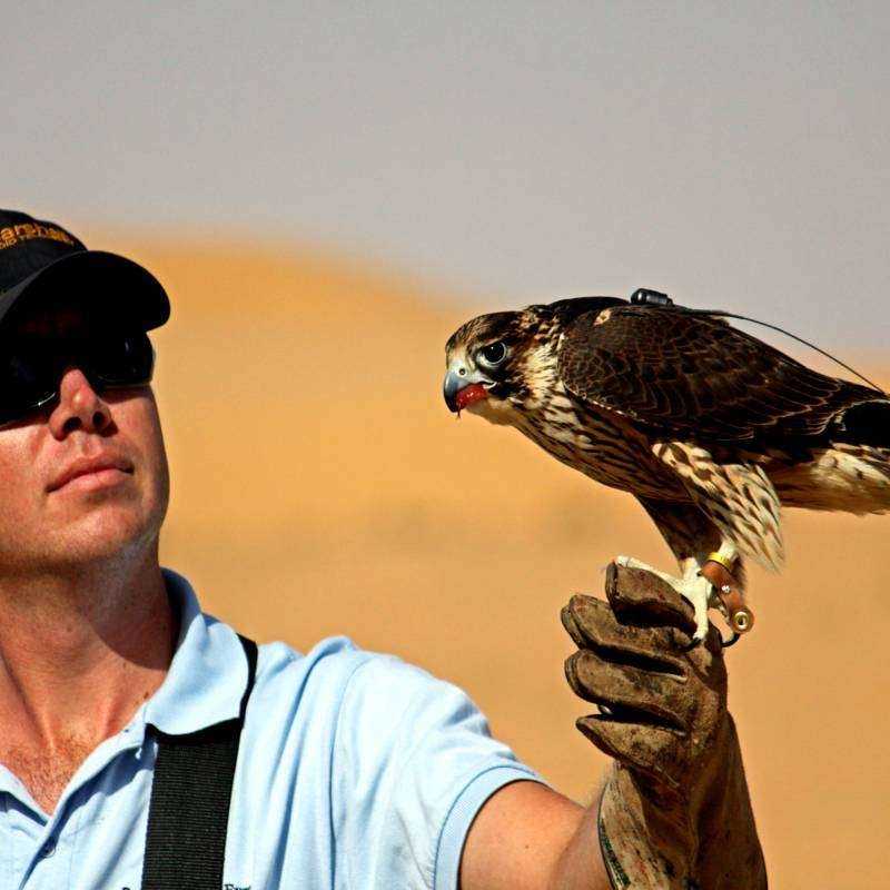 Safari Désert Luxe & Diner Safari Désert Luxe & Diner