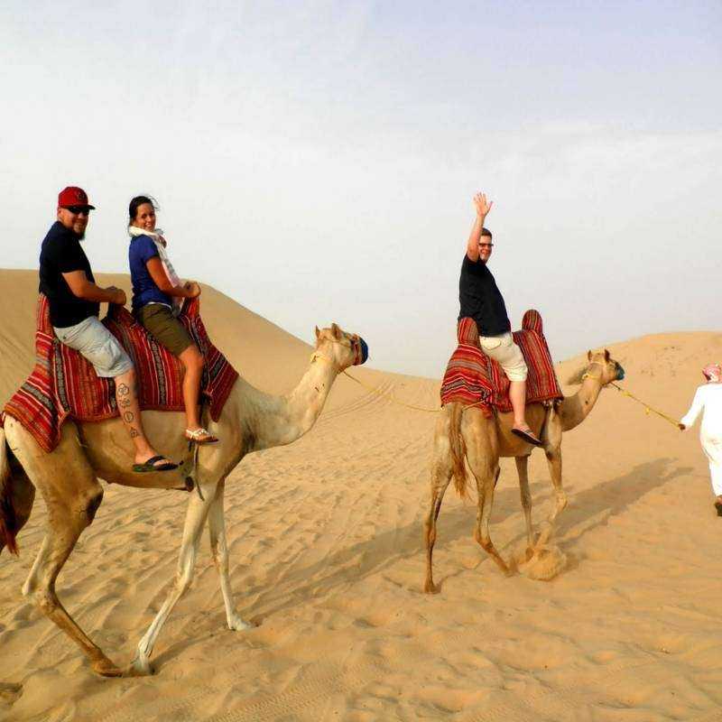 Safari Désert & Diner Safari Désert & Diner