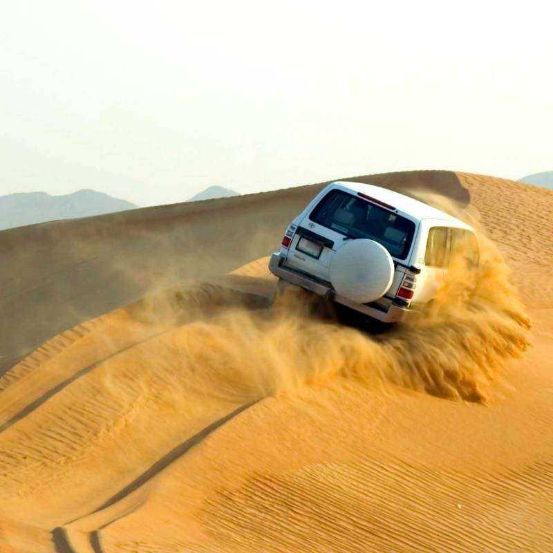 Safari Désert & Diner Safari Désert & Diner