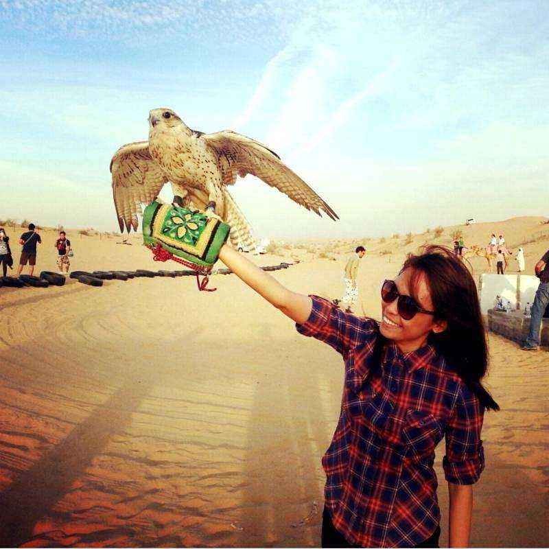 Safari Désert & Diner Safari Désert & Diner