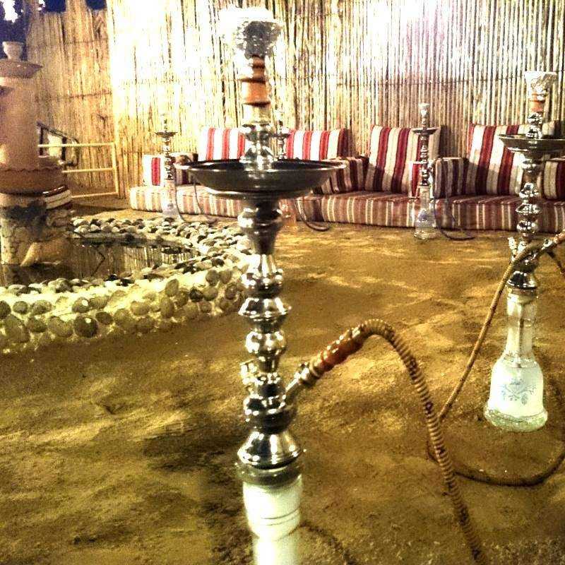 Safari Désert & Diner Safari Désert & Diner