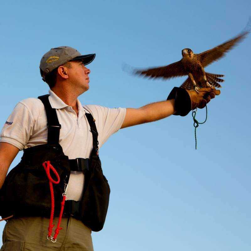 Safari Désert Héritage Dubai Safari Désert Héritage Dubai