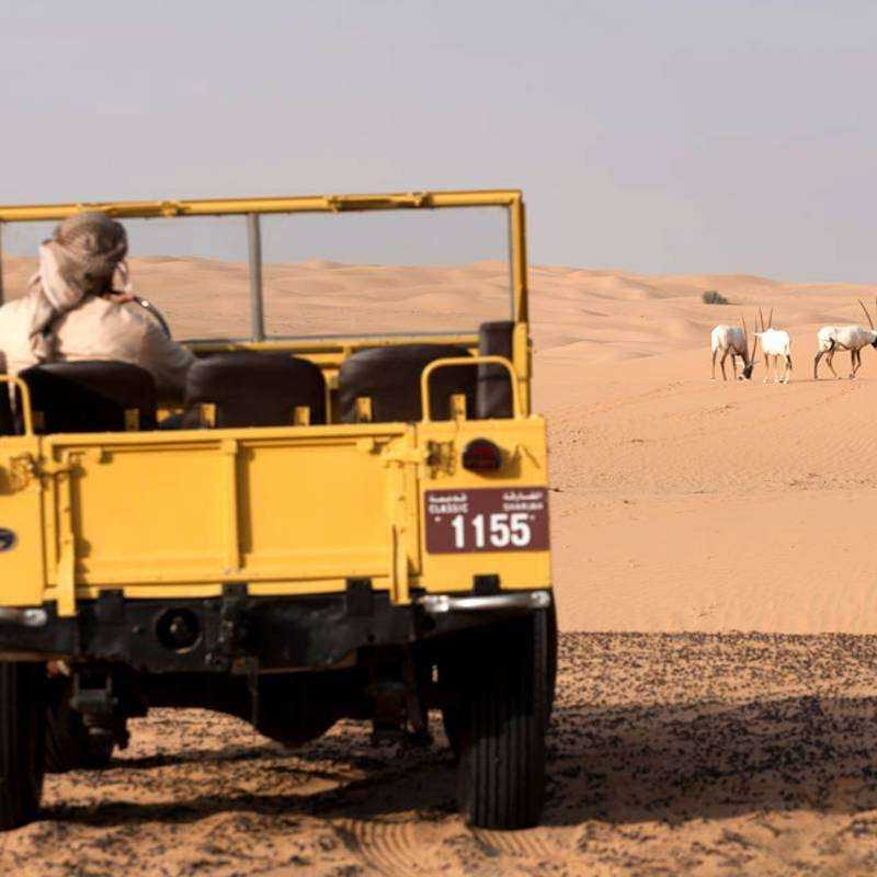 Safari Héritage Dubai & Nuit Safari Héritage Dubai & Nuit
