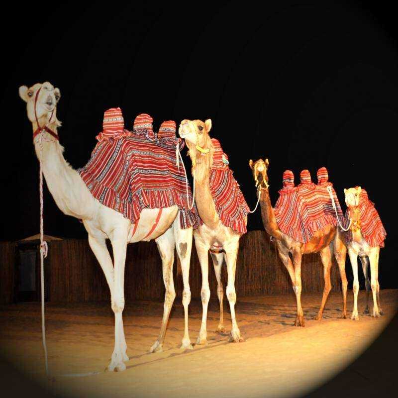 Diner in the desert Diner in the desert