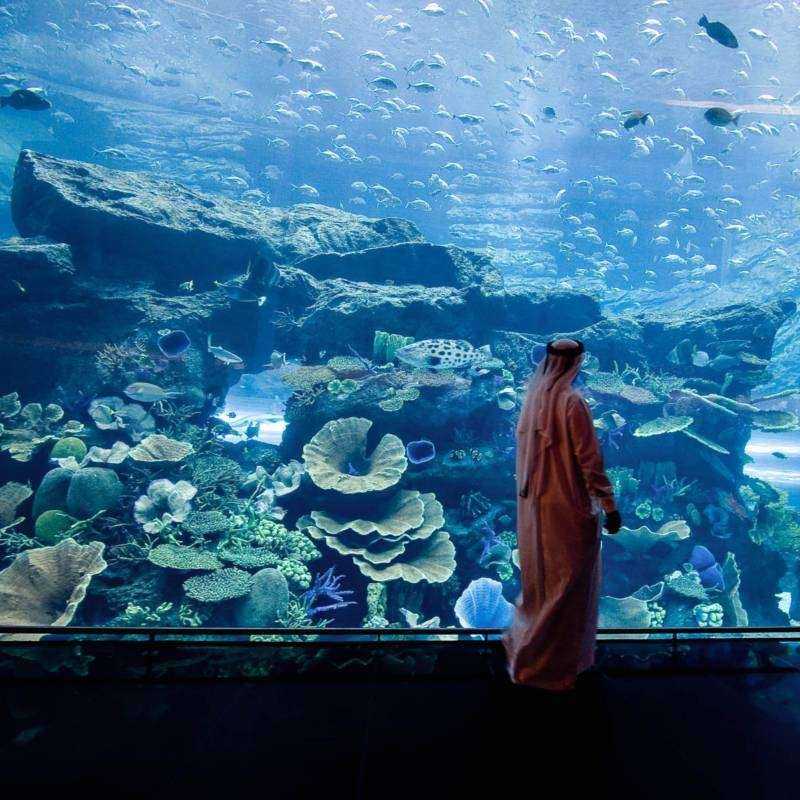 Visite Guidée Dubai Shopping Visite Guidée Dubai Shopping