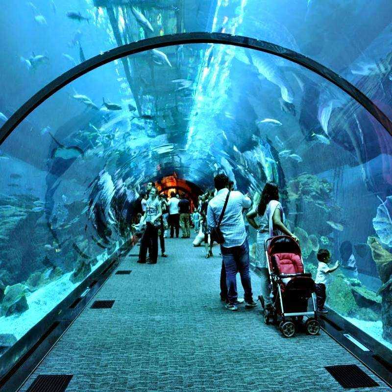 Visite Guidée Dubai Shopping Visite Guidée Dubai Shopping