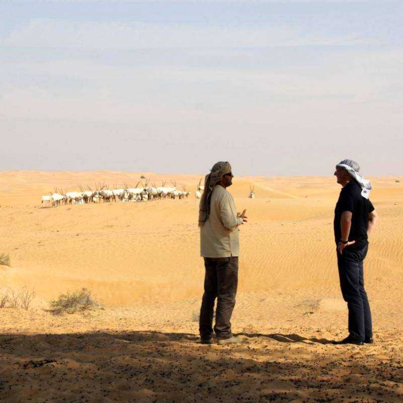 Safari Désert Héritage Matinée Safari Désert Héritage Matinée