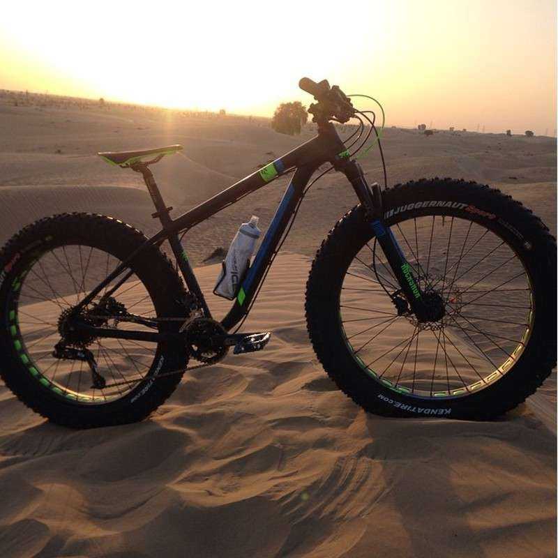 Safari Désert Héritage Matinée Safari Désert Héritage Matinée