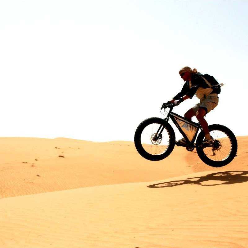 Safari Désert Héritage Matinée Safari Désert Héritage Matinée