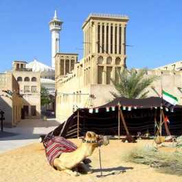 Visite Guidée Mosquée Jumeirah 2