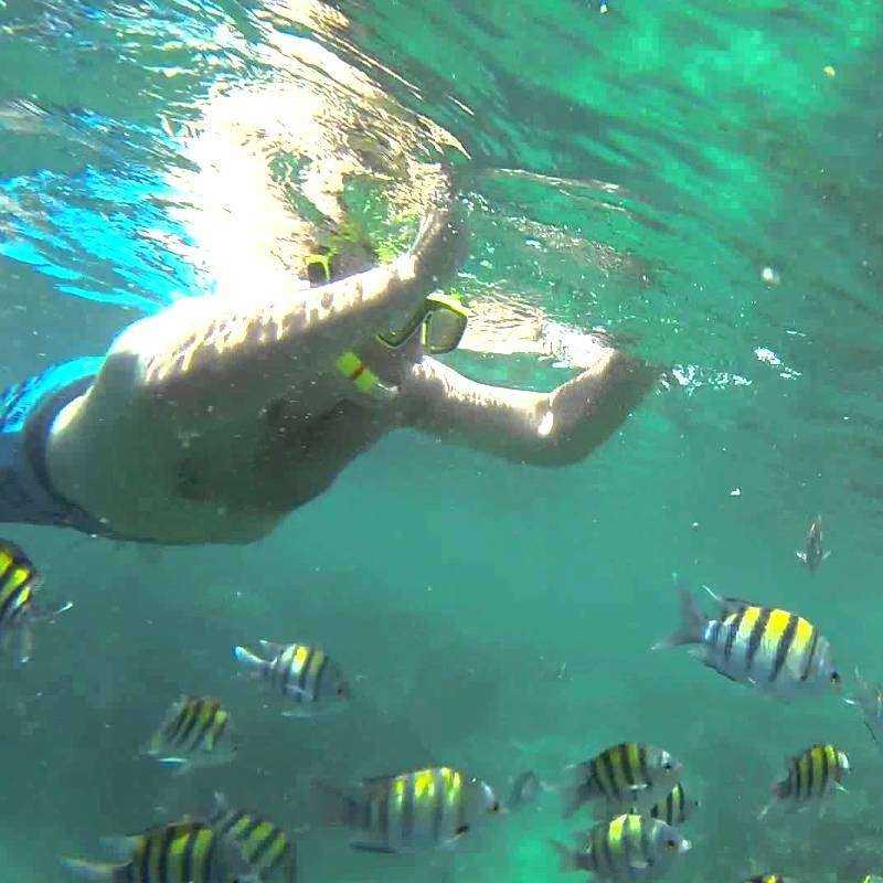 Excursion Mussandam Khasab + Nuit Excursion Mussandam Khasab + Nuit