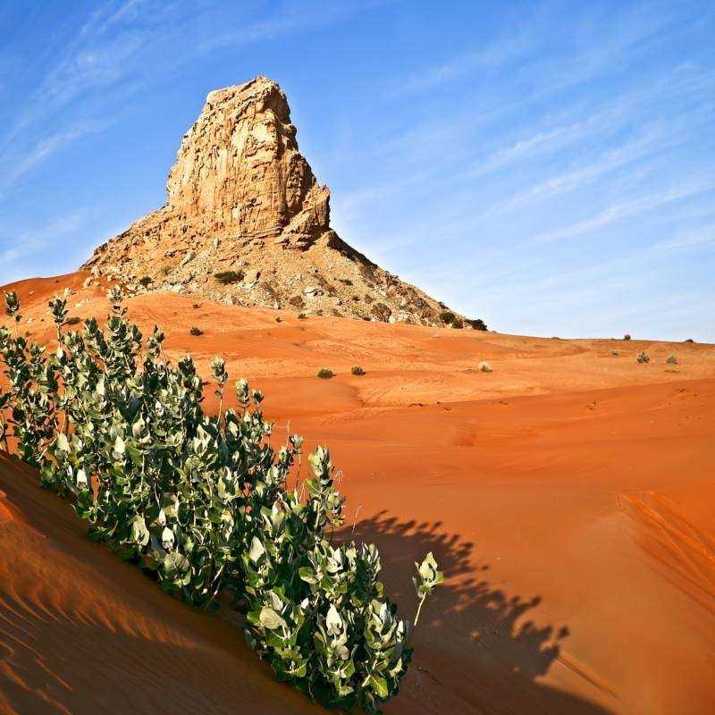 Location Quad Désert Dubai Location Quad Désert Dubai