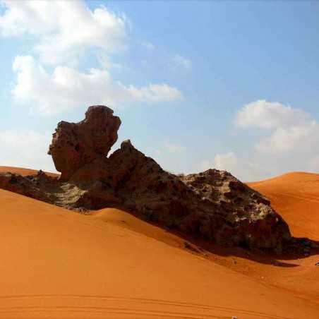 Safari Désert Fossil Rock Dubai