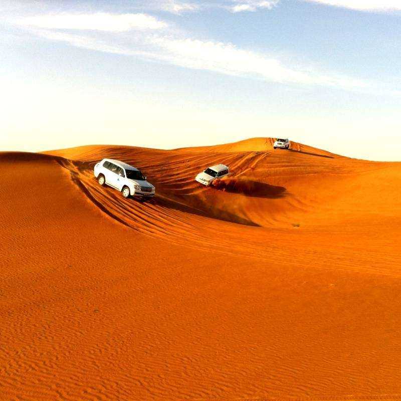 Excursion Désert en Chameau Excursion Désert en Chameau