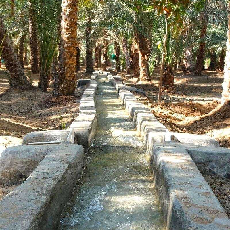 Visite guidée Al Ain (privative) Visite guidée Al Ain (privative)