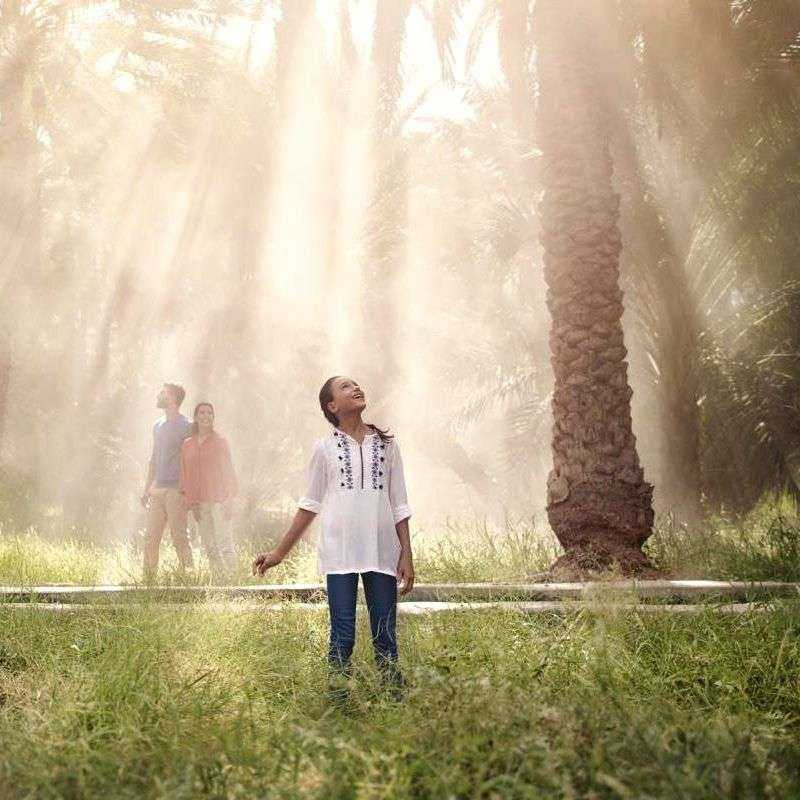 Visite guidée Al Ain (privative) Visite guidée Al Ain (privative)