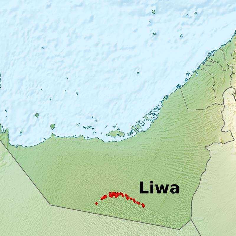 Excursion Désert Liwa Excursion Désert Liwa