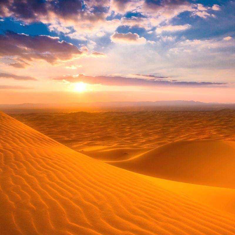 Excursion Désert Liwa Excursion Désert Liwa