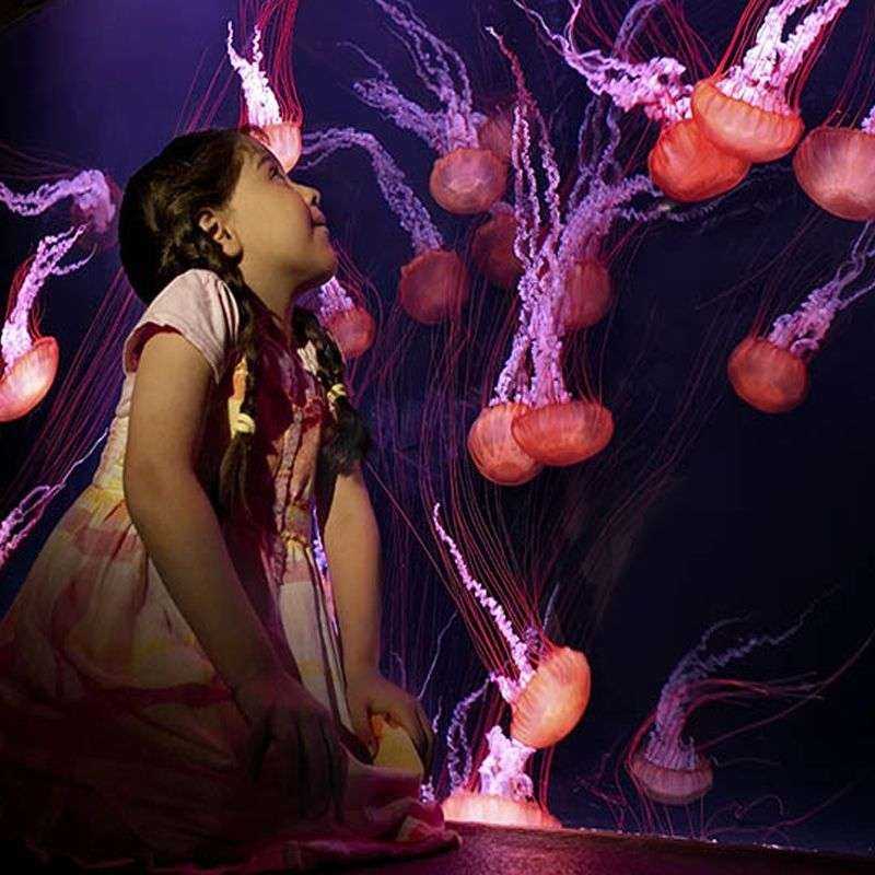 Aquaventure Dubai Aquaventure Dubai