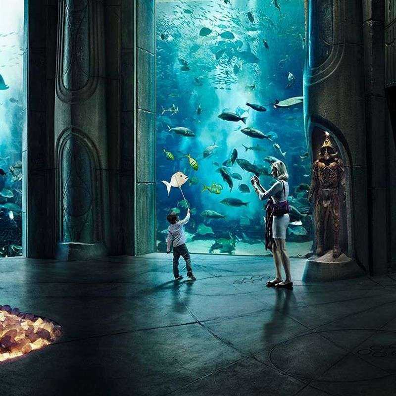 Aquaventure Dubai Aquaventure Dubai