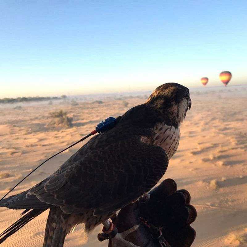 Tour en Montgolfière Tour en Montgolfière
