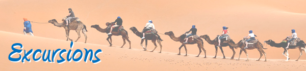 EXCURSIONS DUBAI