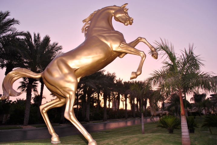Cheveaux Dubai