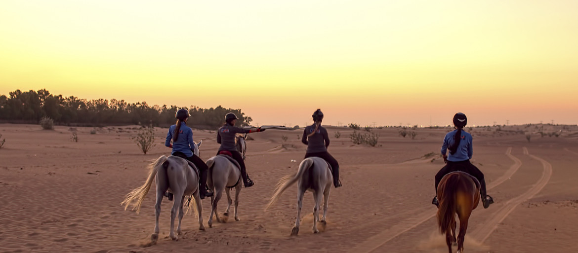 Cheveaux Dubai