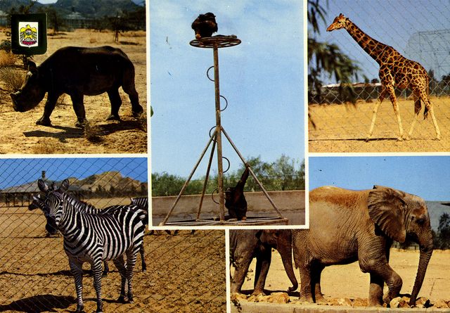 Al Ain Zoo