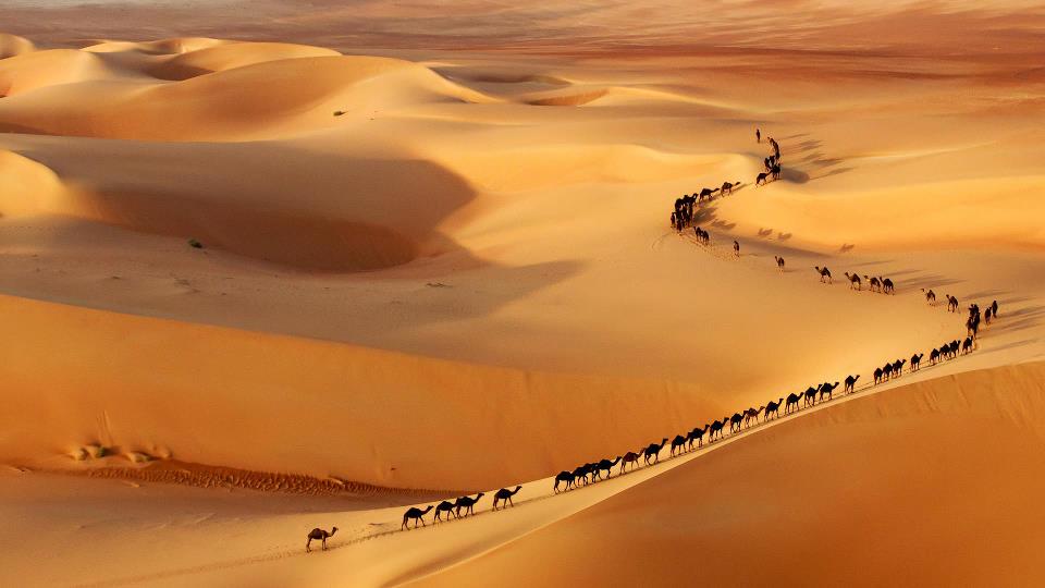 Desert Dubai