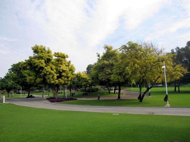 Dubai Creek Park