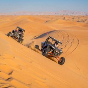Excursion Buggy Désert 1h (Polaris RZR)