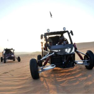 Excursion Buggy Désert & Diner