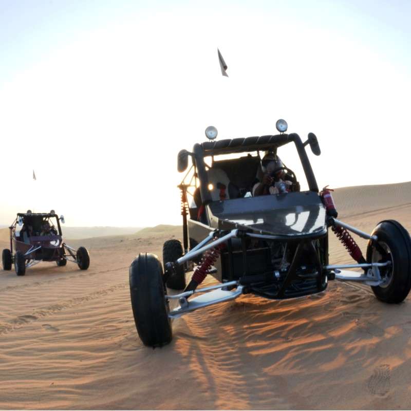 Excursion Buggy Désert & Diner