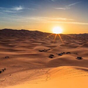 Excursion désert de Liwa – Abu Dhabi