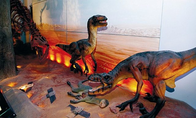 Musee Histoire Naturelle  Sharjah