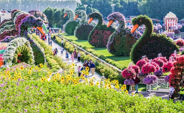 dubaï miracle garden