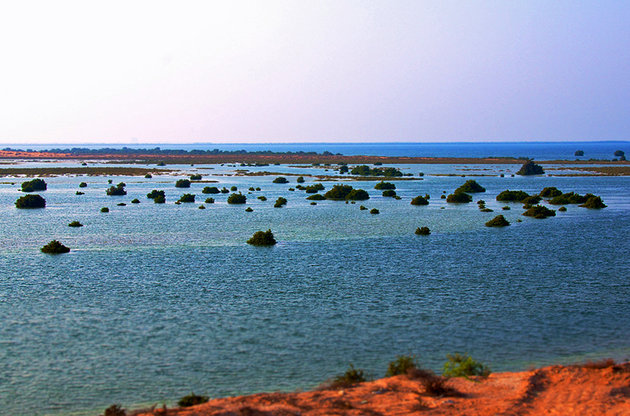 UAQ