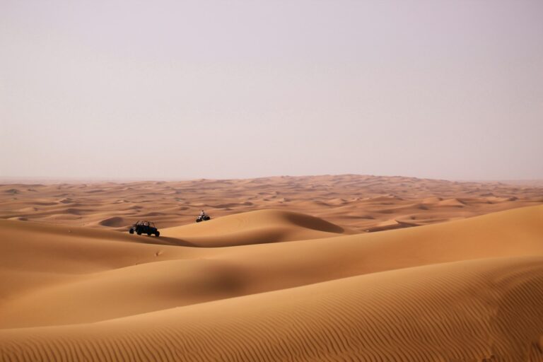 Activités à Dubai