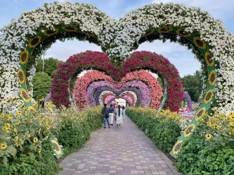 personnes marchant sur le sentier entouré d’un jardin de fleurs vertes et roses pendant la journée