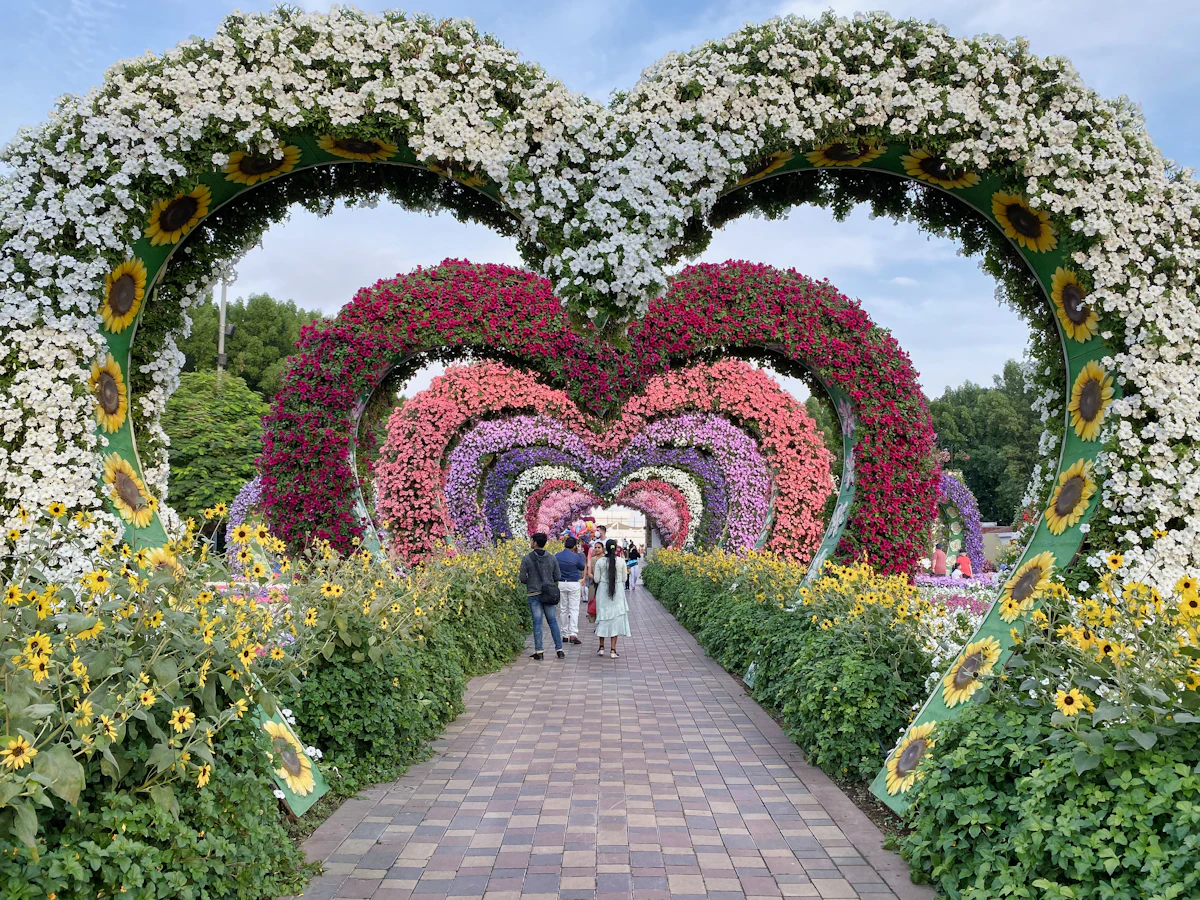 personnes marchant sur le sentier entouré d’un jardin de fleurs vertes et roses pendant la journée