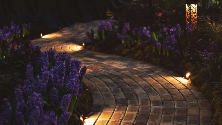 fleurs violettes sur table en bois marron