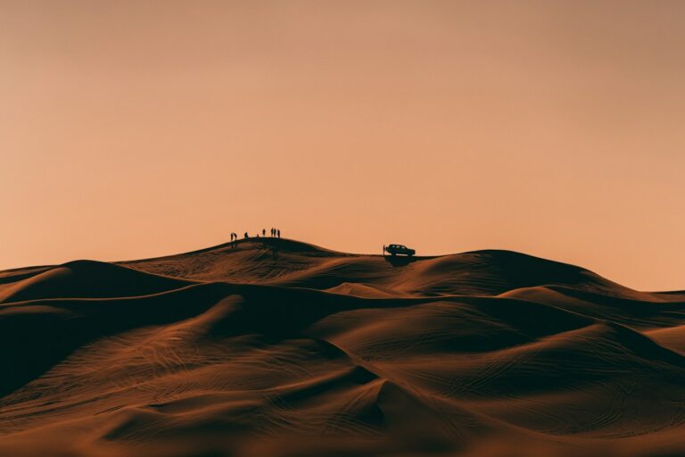 Les Emirats Arabes Unis